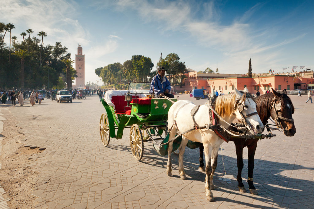 Visite en calèche à Marrakech